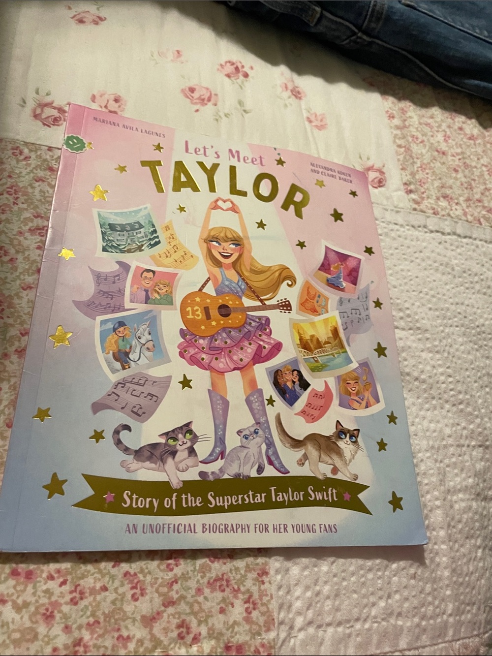 “Let’s Meet Taylor”Book